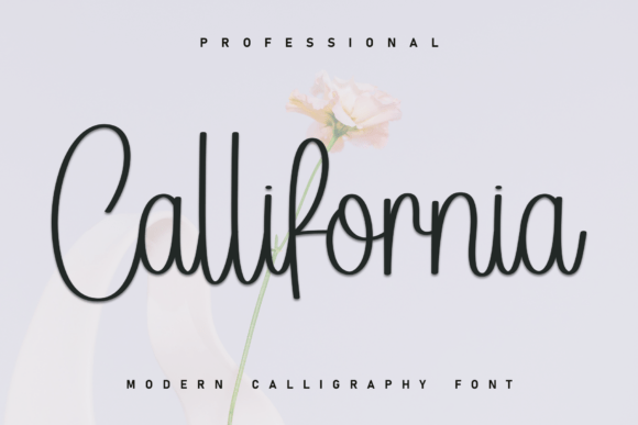 Callifornia Font - Featured Image