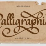 Calligraphia Font - Featured Image