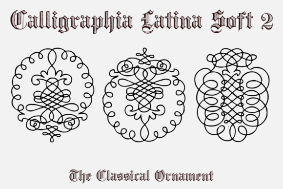 Calligraphia Latina Soft 2 Font - Featured Image