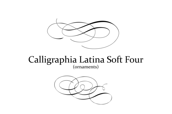 Calligraphia Latina Soft 4 Font - Featured Image