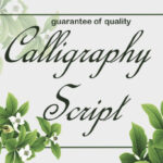 Calligraphy Script Font - Featured Image