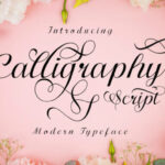 Calligraphy Script Font - Featured Image