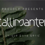 Callimanten Font - Featured Image