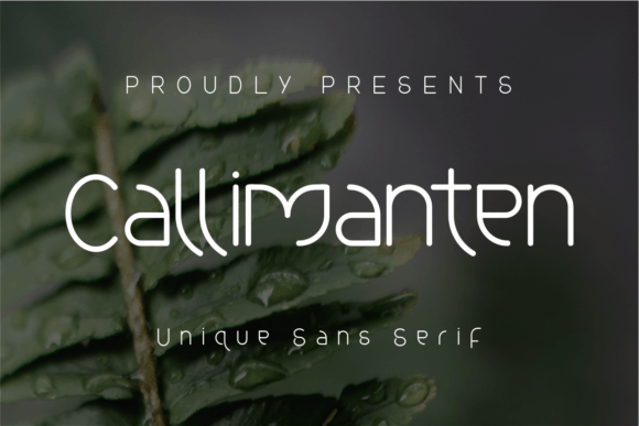 Callimanten Font - Featured Image