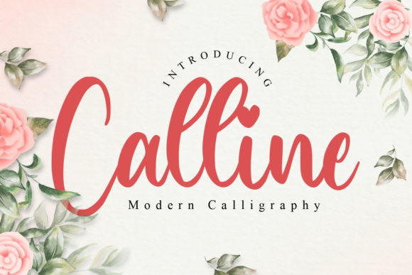 Calline Font - Featured Image