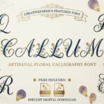 Callum Font - Featured Image