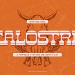 Calostre Font - Featured Image