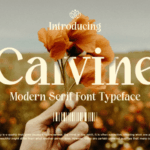Calvine Font - Featured Image