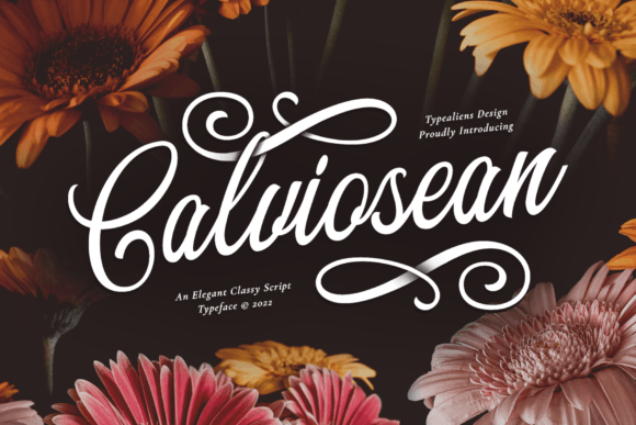 Calviosean Font - Featured Image
