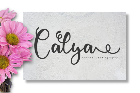 Calya Font - Featured Image