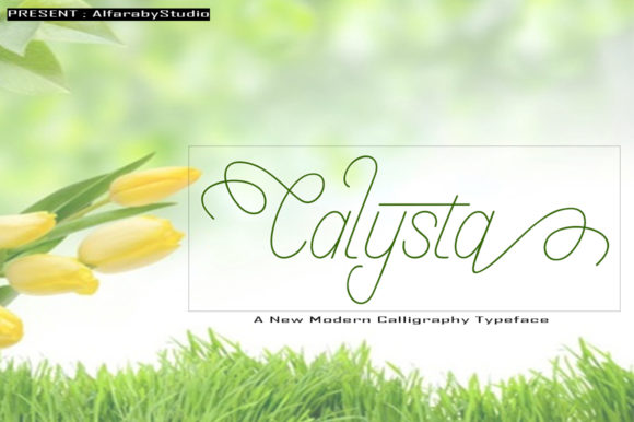 Calysta Font - Featured Image