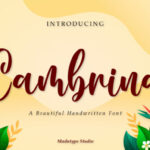 Cambrina Font - Featured Image