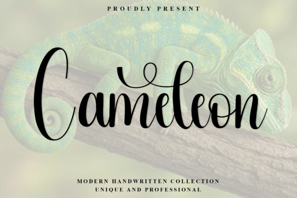 Cameleon Font - Featured Image