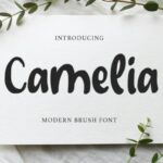 Camelia Font - Featured Image