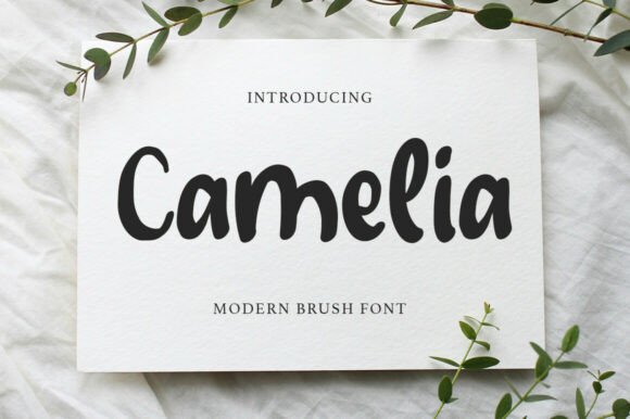 Camelia Font - Featured Image