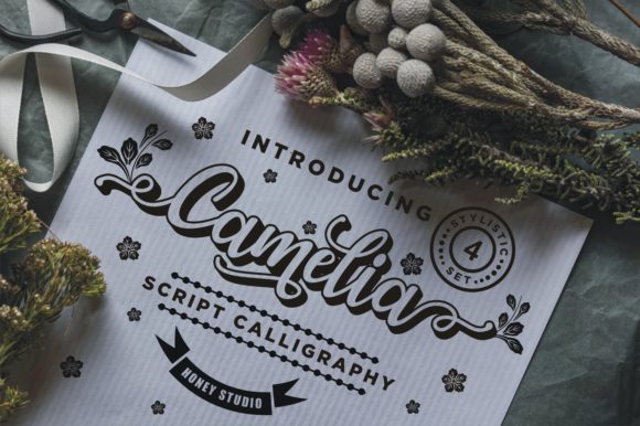 Camelia Font - Featured Image