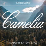 Camelia Font - Featured Image
