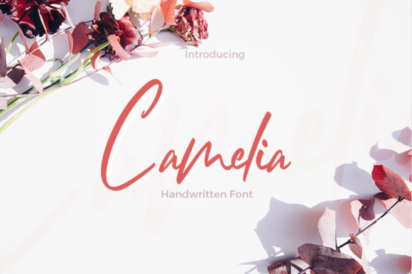Camelia Font - Featured Image