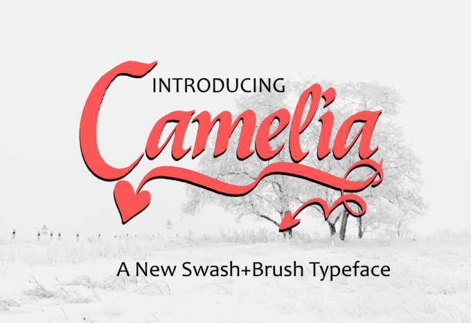 Camelia Font - Featured Image