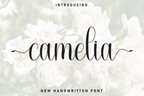 Camelia Font - Featured Image