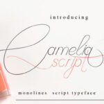 Camelia Script Font - Featured Image
