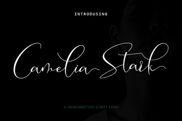 Camelia Stark Font - Featured Image