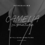 Camelia Stylish Signature Font - Featured Image