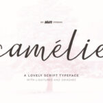 Camelie Font - Featured Image