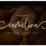 Camelina Font - Featured Image