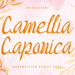 Camellia Caponica Font - Featured Image