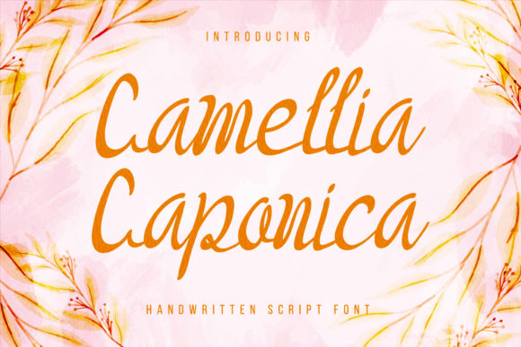 Camellia Caponica Font - Featured Image