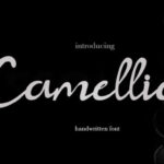 Camellia Font - Featured Image