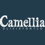 Camellia Font - Featured Image