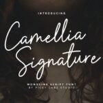 Camellia Signature Font - Featured Image