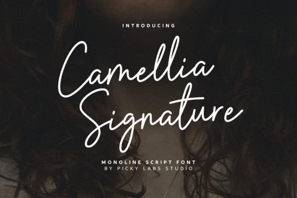 Camellia Signature Font - Featured Image