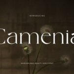 Camenia Font - Featured Image