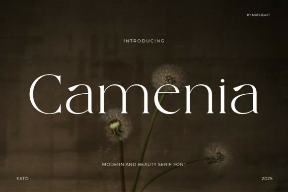 Camenia Font - Featured Image