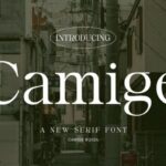Camige Font - Featured Image
