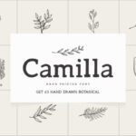 Camilla Font - Featured Image