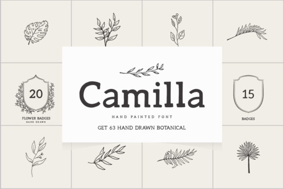 Camilla Font - Featured Image