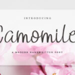 Camomile Font - Featured Image