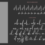 Camsay Font - Featured Image