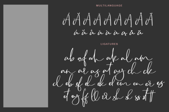 Camsay Font - Featured Image