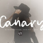 Canary Font - Featured Image