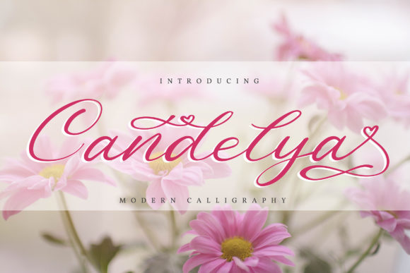 Candelya Font - Featured Image