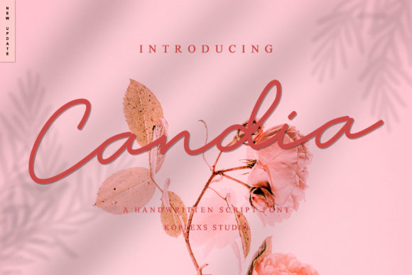 Candia Font - Featured Image