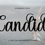 Candid Font - Featured Image
