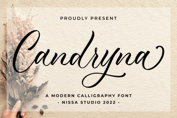 Candryna Font - Featured Image