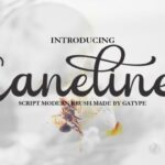 Caneline Font - Featured Image