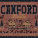 Canford Trio Font - Featured Image